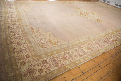 8x15 Antique Agra Carpet by Old New House® - product image 11 for Resin Society