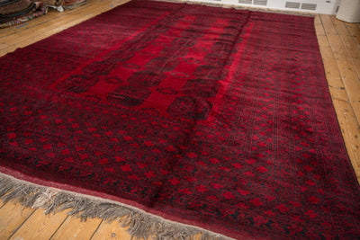 9x12.5 Vintage Afghani Ersari Design Carpet by Old New House® - product image 11 for Resin Society