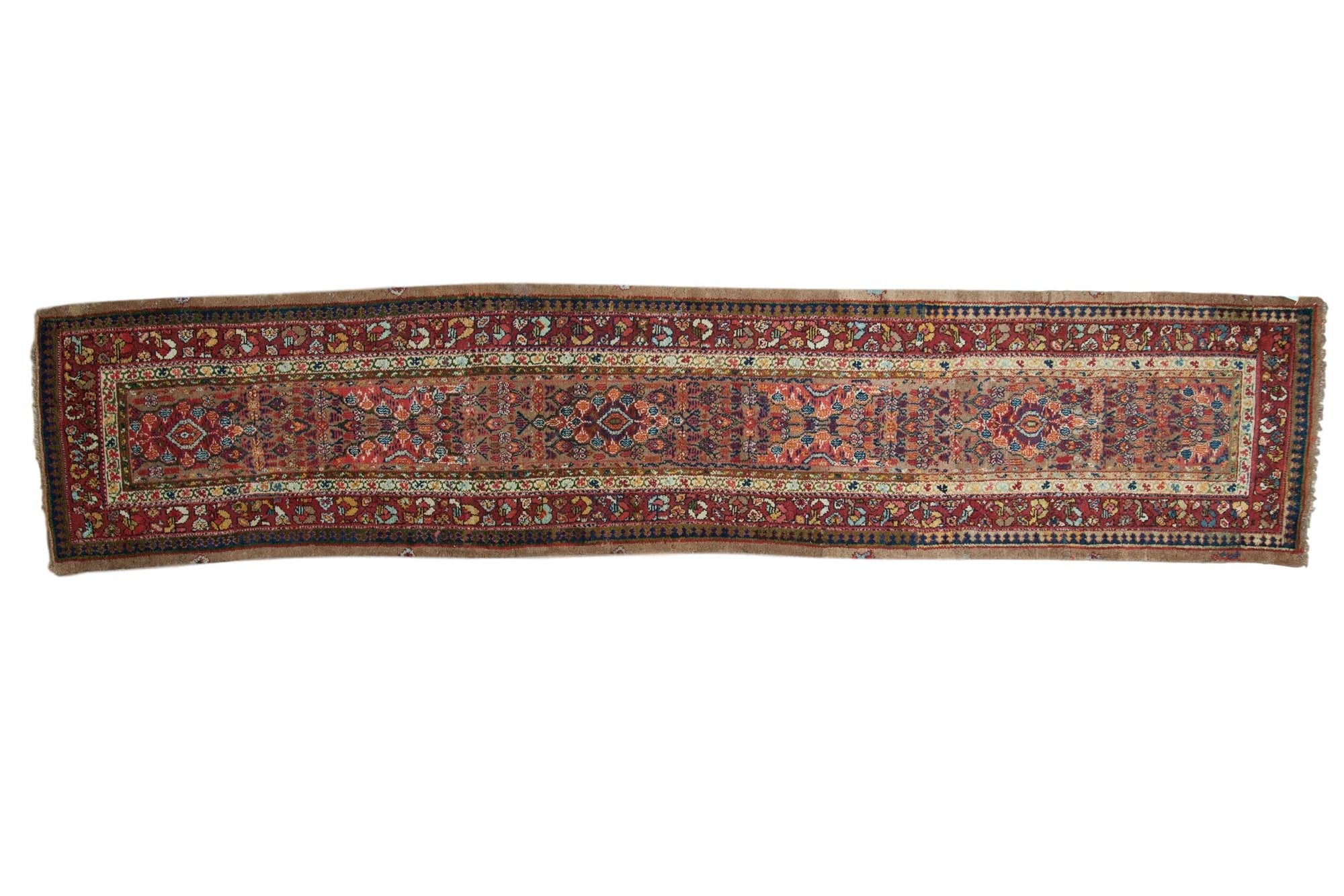 2.5x13.5 Antique Serab Rug Runner by Old New House® - main product image for Resin Society