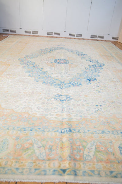 10x14 Vintage Distressed Bulgarian Herati Design Carpet by Old New House® - product image 9 for Resin Society