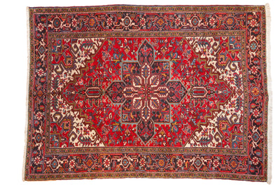 6.5x9 Vintage Mehrivan Carpet by Old New House® - main product image for Resin Society