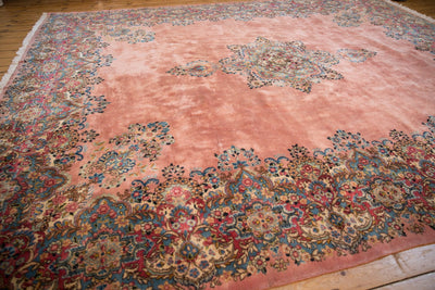 10x12 Vintage Kerman Carpet by Old New House® - product image 3 for Resin Society