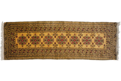 2.5x9.5 Vintage Daulatabad Rug Runner by Old New House® - main product image for Resin Society