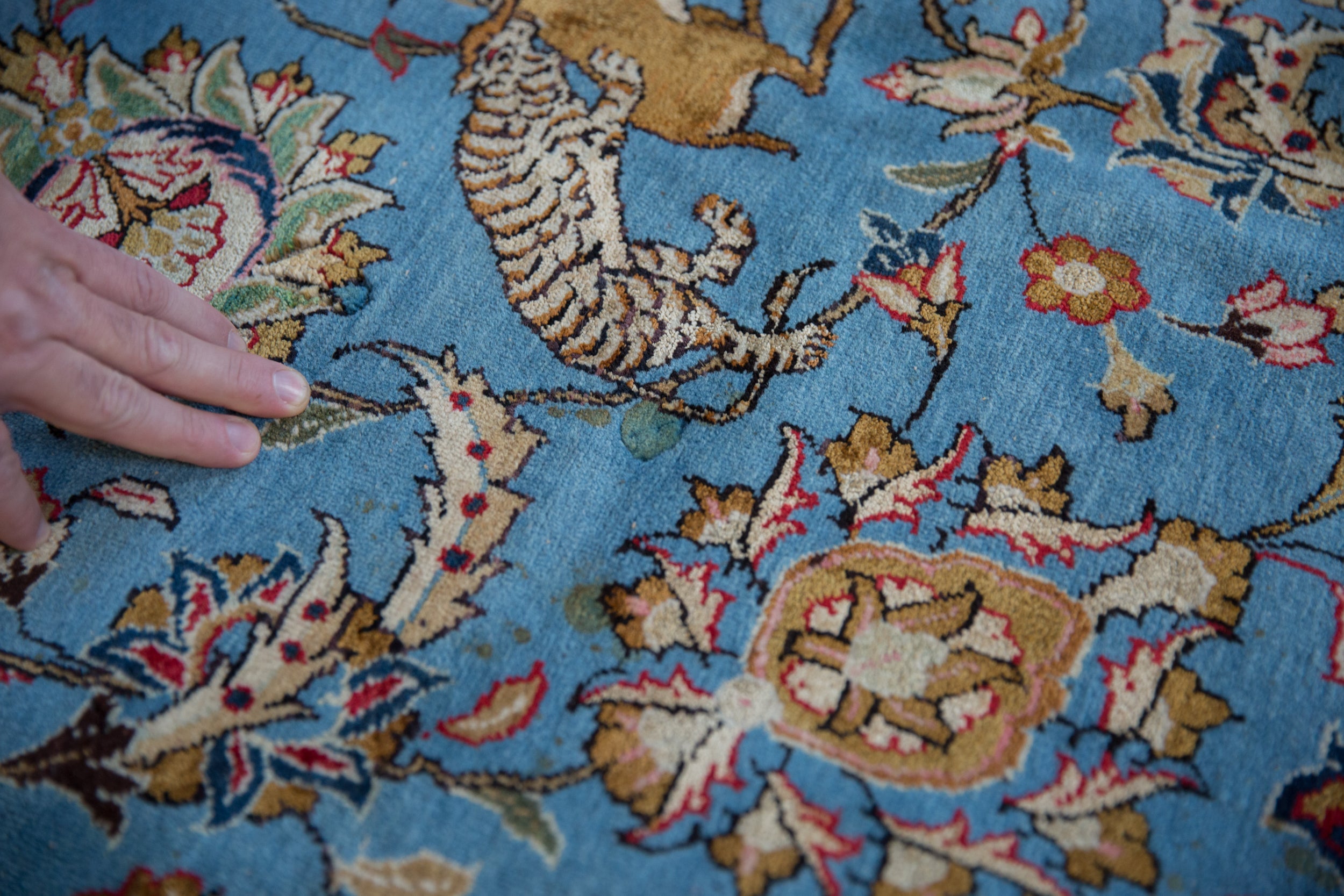 8.5x13 Vintage Qom Carpet by Old New House® - product image 18 for Resin Society