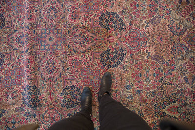 11.5x19.5 Vintage Lavar Kerman Carpet by Old New House® - product image 2 for Resin Society