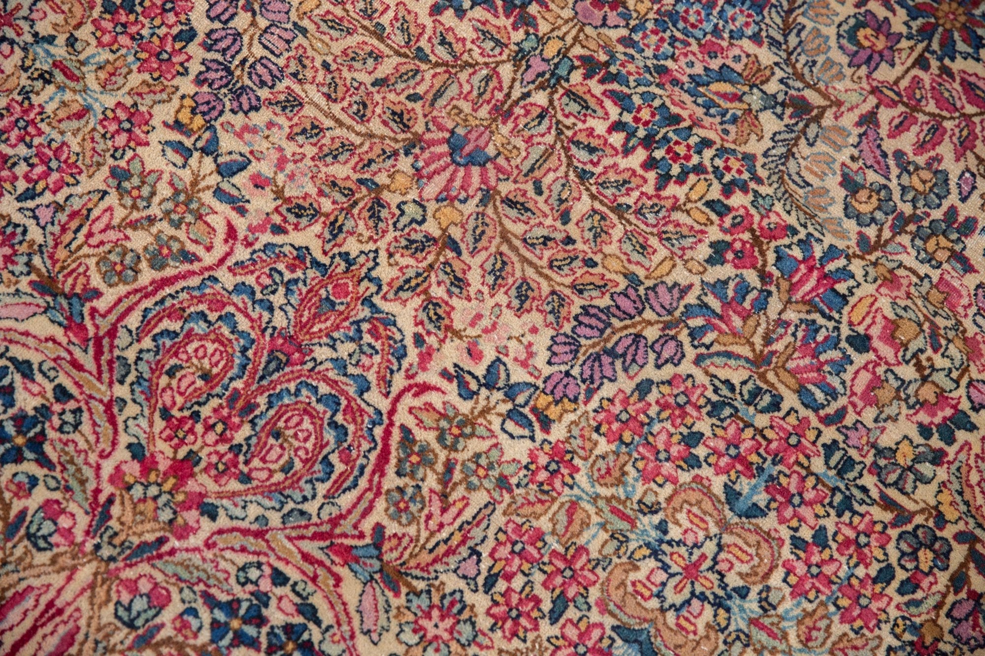 11.5x19.5 Vintage Lavar Kerman Carpet by Old New House® - product image 3 for Resin Society