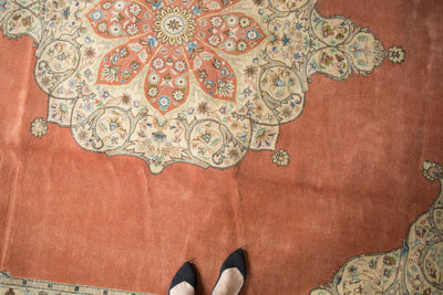10x14.5 Vintage Tabriz Carpet by Old New House® - product image 2 for Resin Society