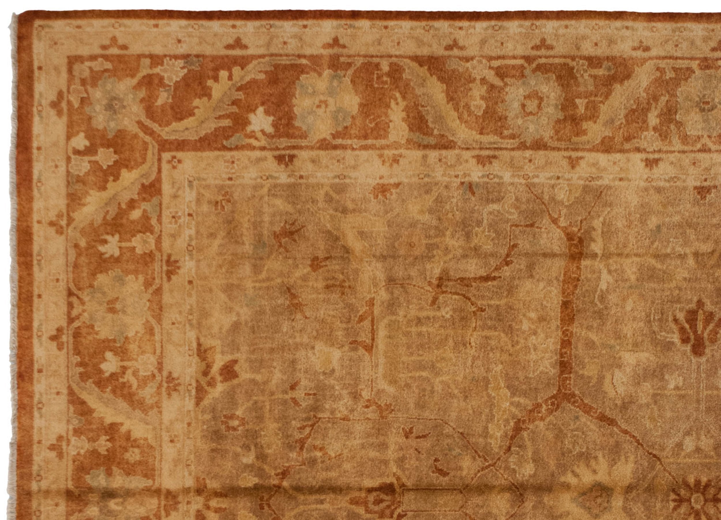 10x13.5 New Gold Wash Indian Oushak Design Carpet by Old New House® - product image 4 for Resin Society