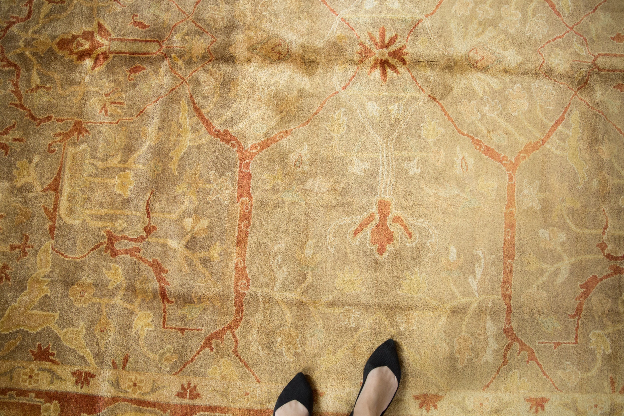 8.5x11.5 New Gold Wash Indian Oushak Design Carpet by Old New House® - product image 2 for Resin Society