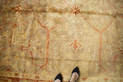 8.5x11.5 New Gold Wash Indian Oushak Design Carpet by Old New House® - product image 2 for Resin Society