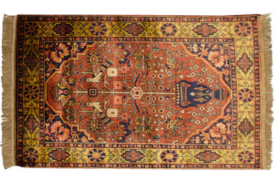 3x5 Vintage Indian Bakhtiari Design Rug by Old New House® - main product image for Resin Society