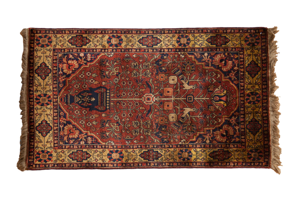 3x5.5 Vintage Indian Bakhtiari Design Rug by Old New House® - main product image for Resin Society