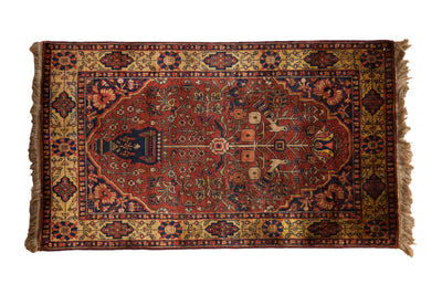 3x5.5 Vintage Indian Bakhtiari Design Rug by Old New House® - main product image for Resin Society