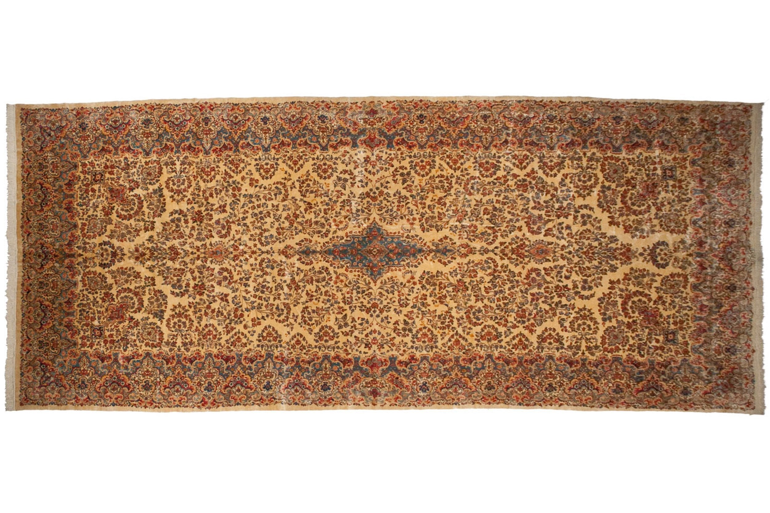 9.5x22.5 Vintage Kerman Carpet by Old New House® - main product image for Resin Society