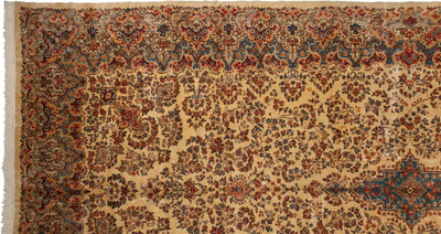9.5x22.5 Vintage Kerman Carpet by Old New House® - product image 20 for Resin Society