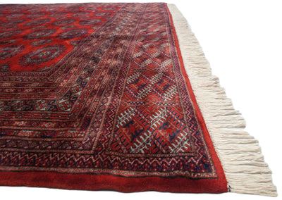 10x14.5 Vintage Fine Pakistani Turkmen Design Carpet by Old New House® - product image 9 for Resin Society
