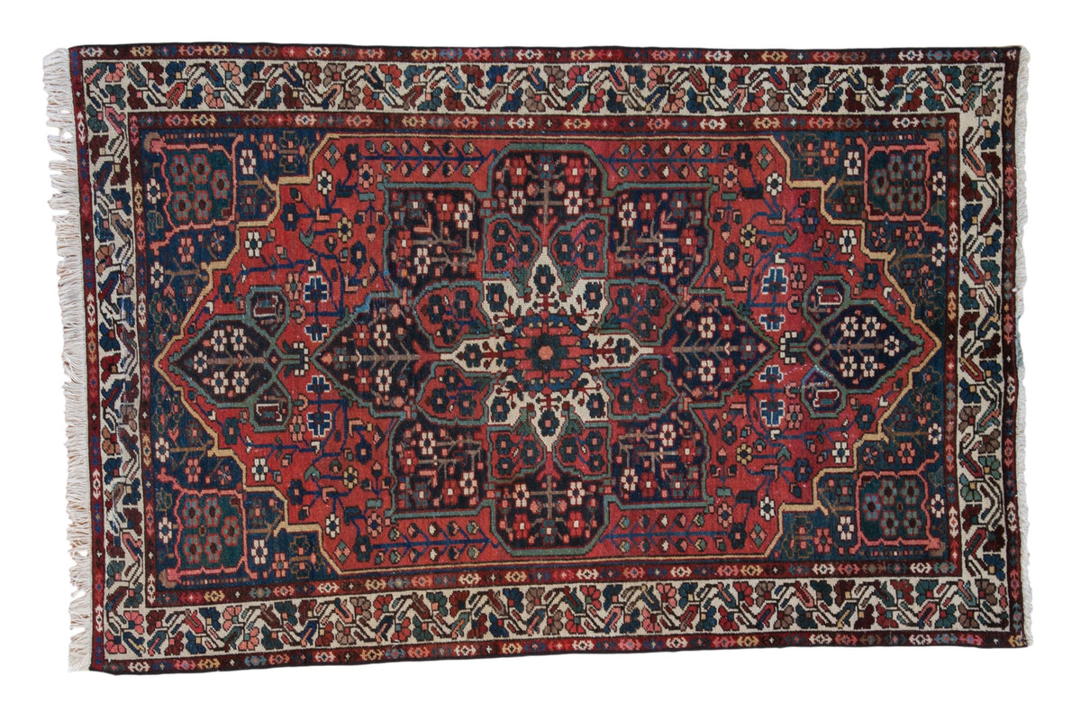 4.5x6.5 Vintage Baktiari Rug by Old New House® - main product image for Resin Society
