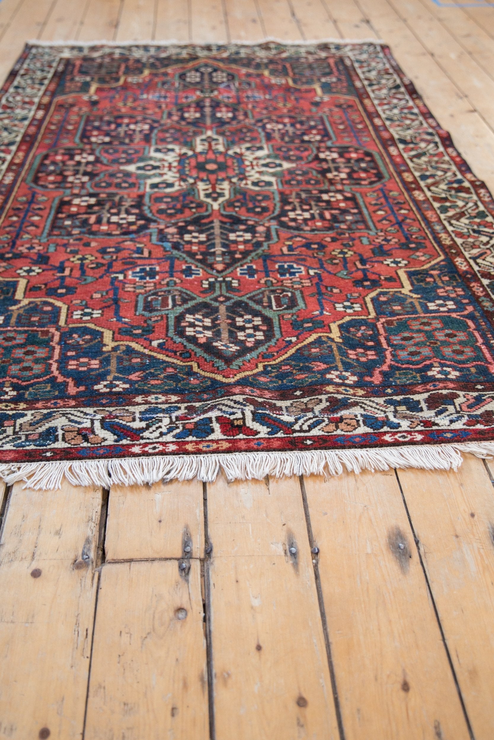 4.5x6.5 Vintage Baktiari Rug by Old New House® - product image 4 for Resin Society