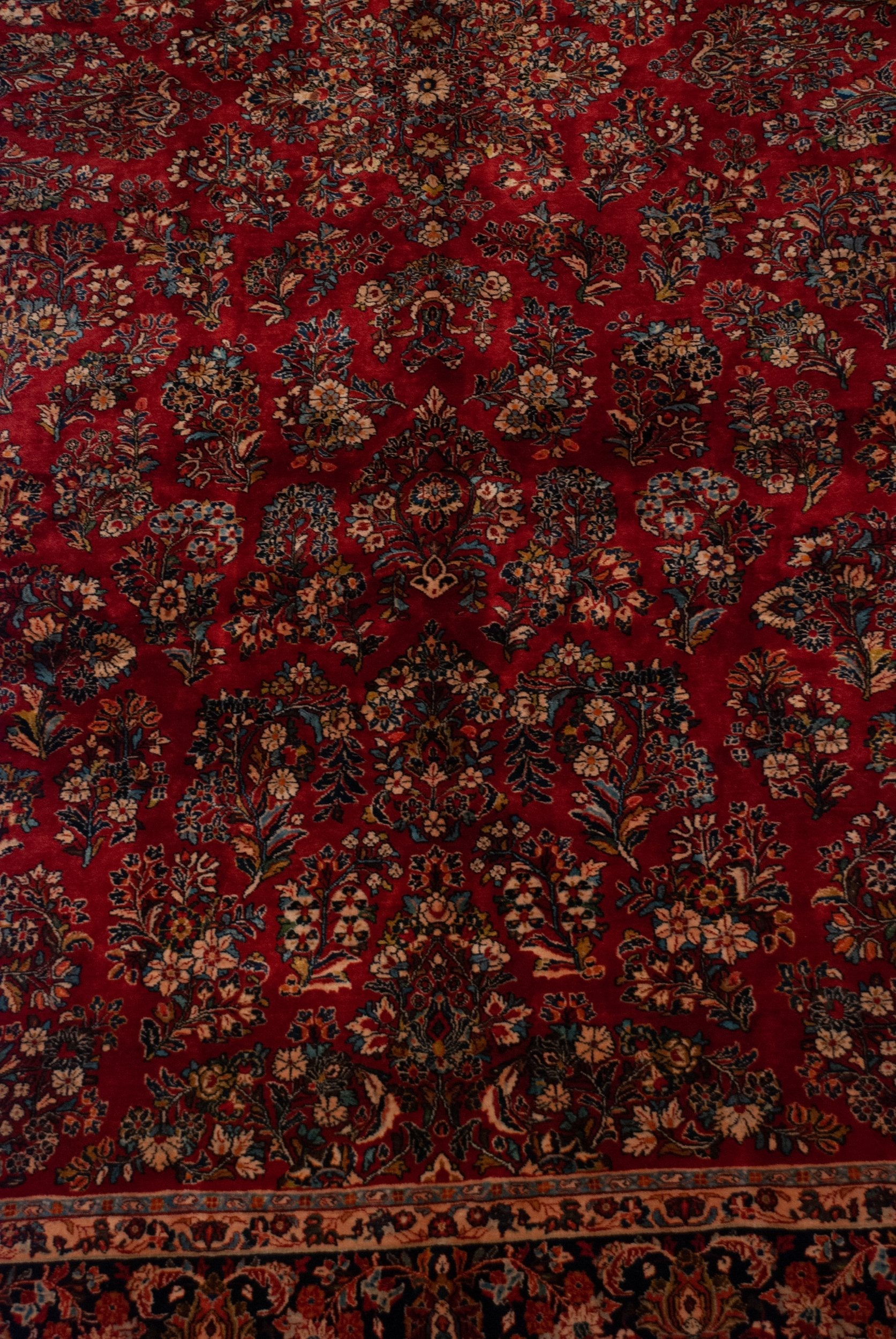 9x18 Vintage American Sarouk Carpet by Old New House® - product image 11 for Resin Society