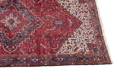 11.5x22.5 Vintage Mehrivan Carpet by Old New House® - product image 3 for Resin Society