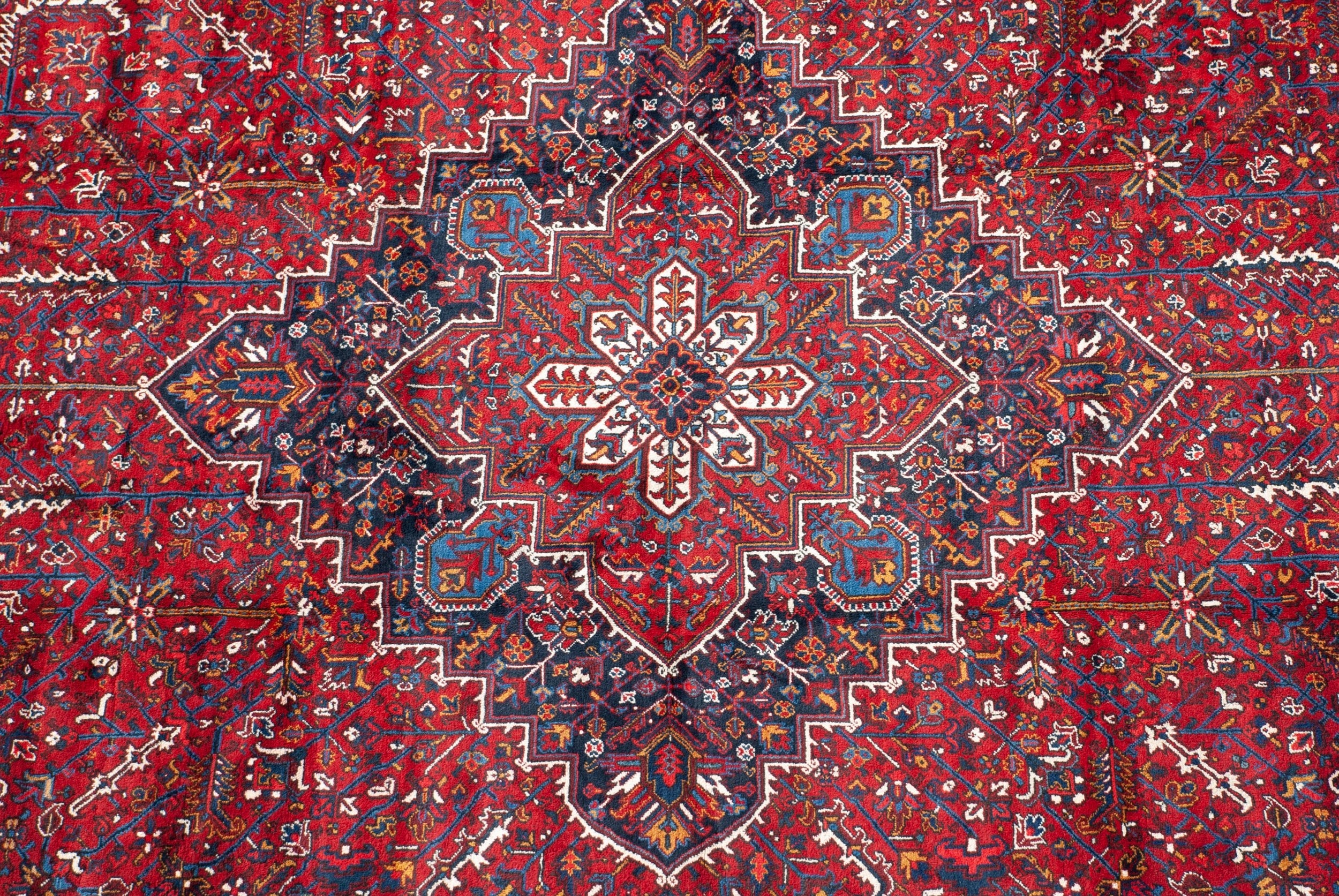 11.5x22.5 Vintage Mehrivan Carpet by Old New House® - product image 6 for Resin Society