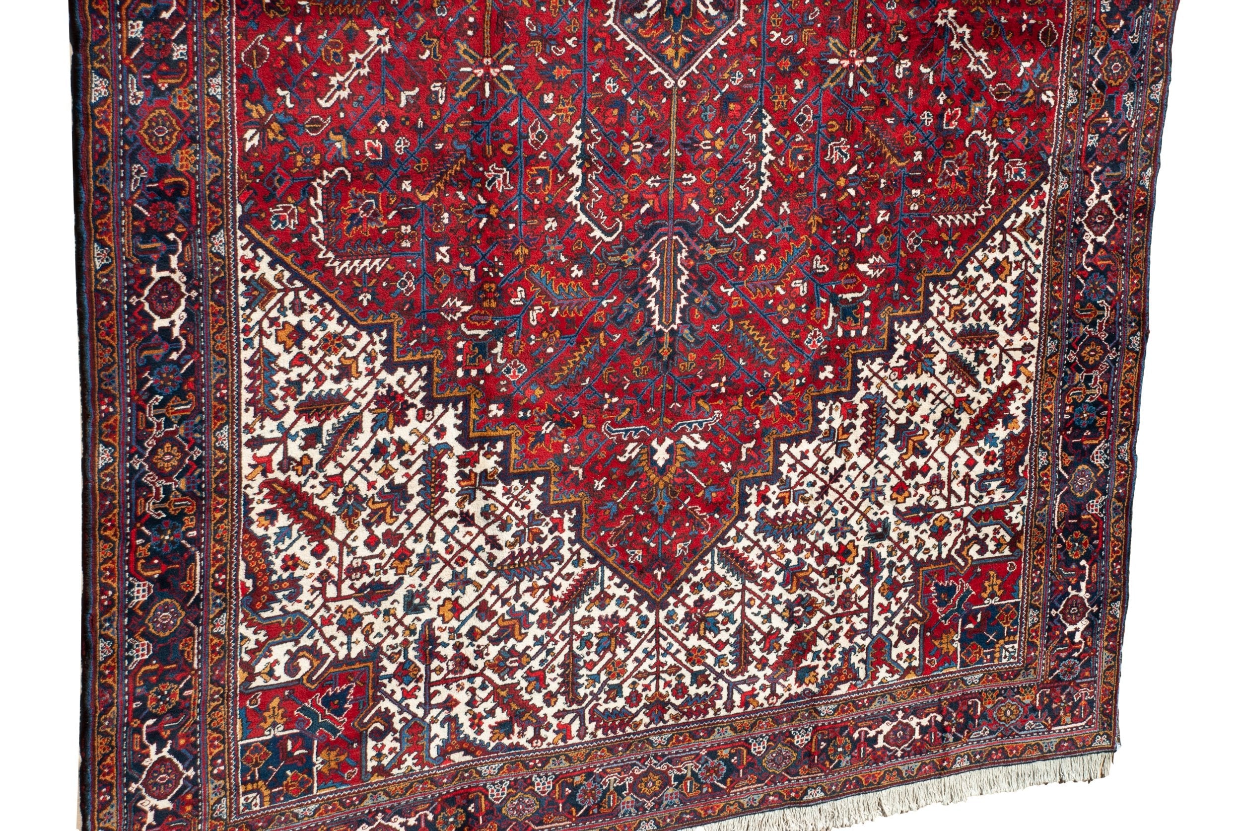 11.5x22.5 Vintage Mehrivan Carpet by Old New House® - product image 9 for Resin Society