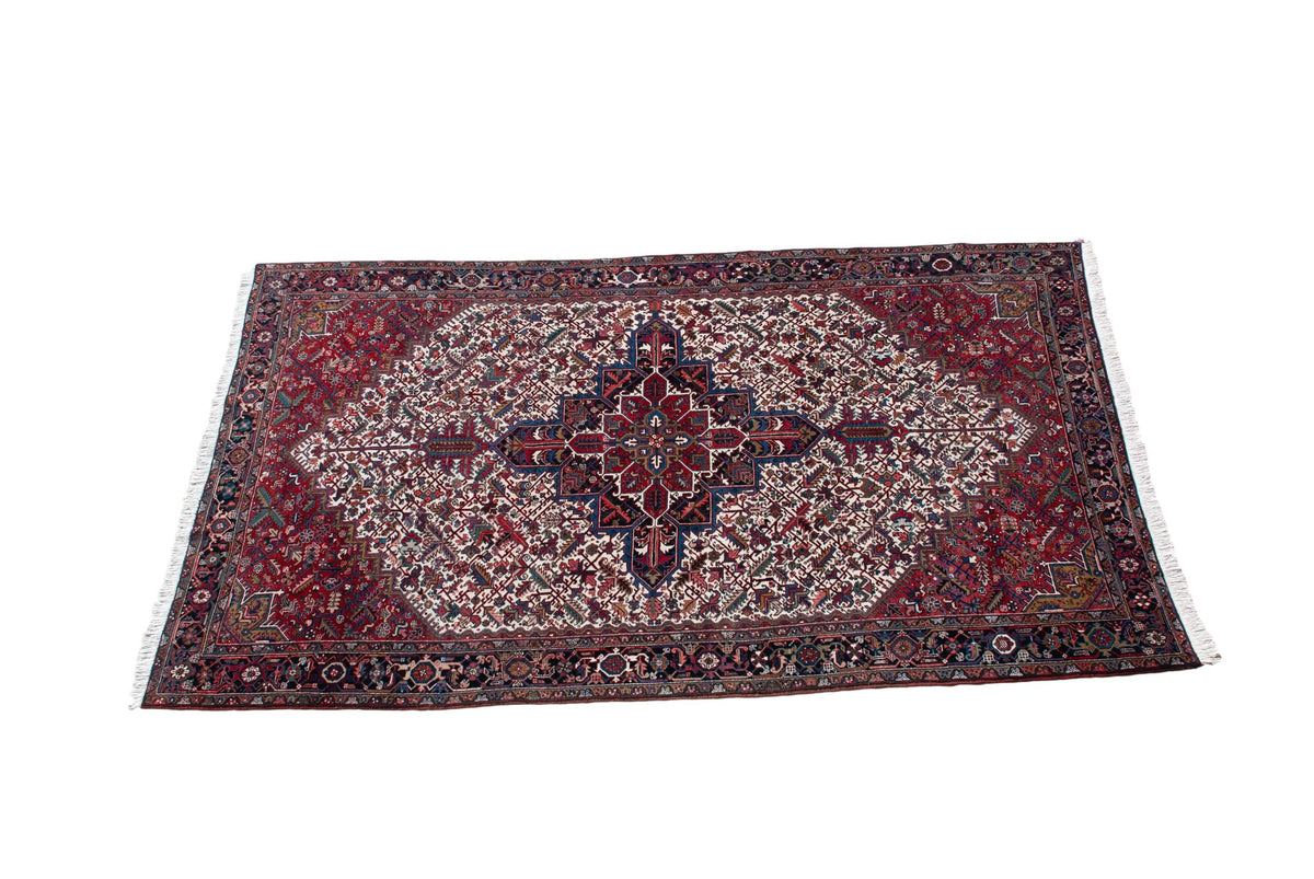 11.5x20.5 Vintage Mehrivan Carpet by Old New House® - main product image for Resin Society