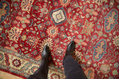 6x9 Vintage Indian Heriz Design Carpet by Old New House® - product image 2 for Resin Society