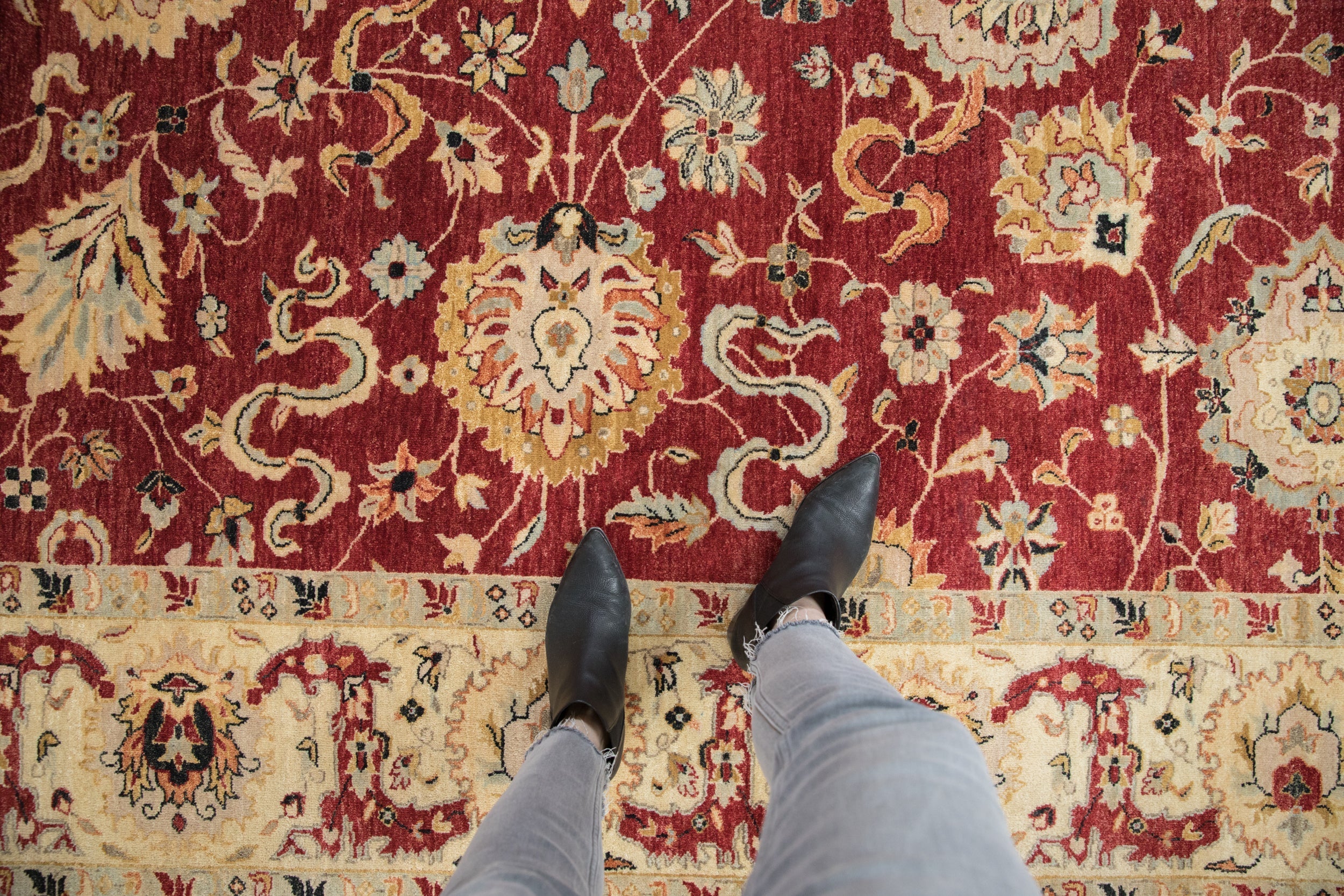 8x10.5 Indian Sultanabad Design Carpet by Old New House® - product image 2 for Resin Society