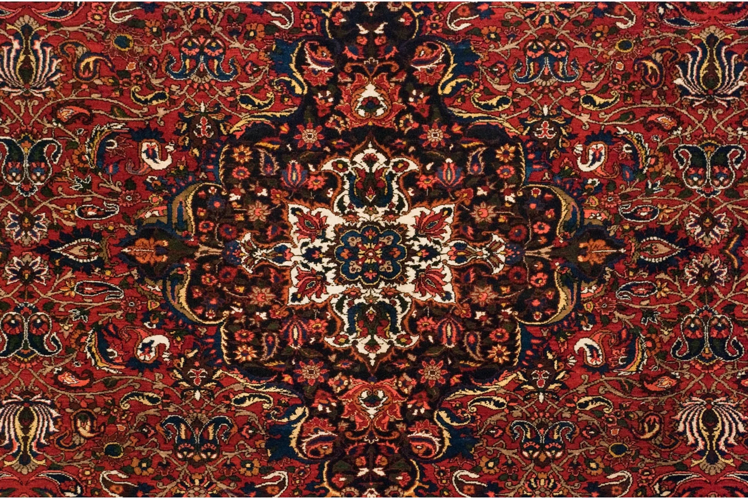 11x15 Vintage Bakhtiari Carpet by Old New House® - product image 11 for Resin Society