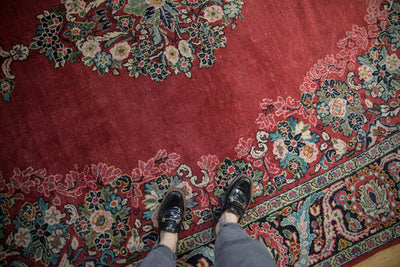 9x12 Vintage Arak Carpet by Old New House® - product image 2 for Resin Society
