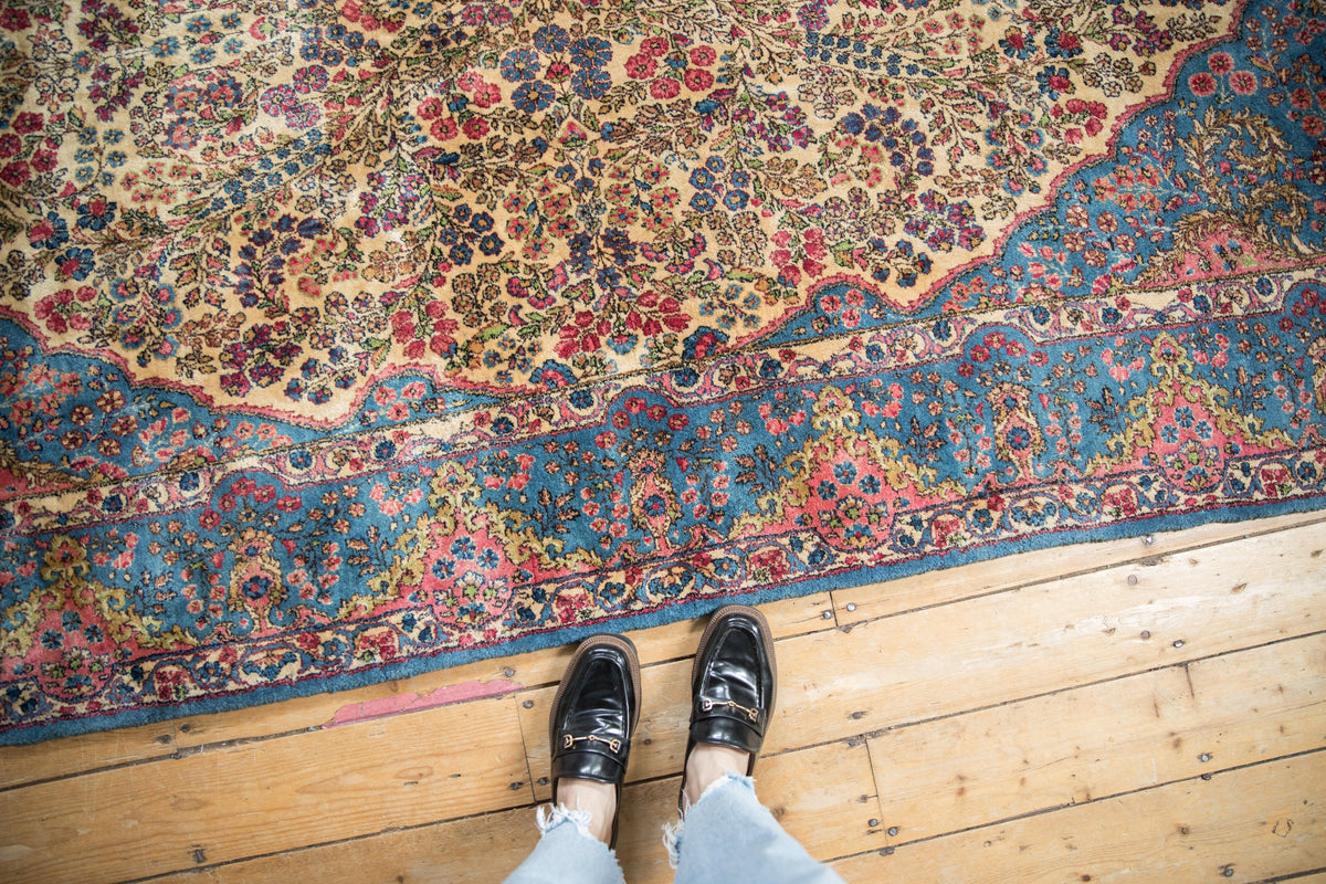 6x12.5 Vintage Fine Kerman Rug Runner by Old New House® - product image 2 for Resin Society