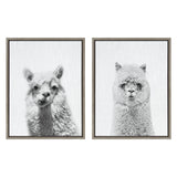 Sylvie Alpaca Portrait Set Framed Canvas By Simon Te by kateandlaurel - main product image for Resin Society