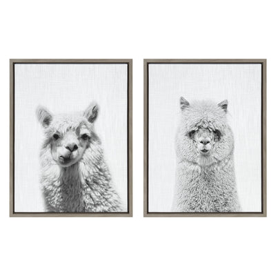 Sylvie Alpaca Portrait Set Framed Canvas By Simon Te by kateandlaurel - main product image for Resin Society