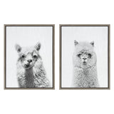 Sylvie Alpaca Portrait Set Framed Canvas By Simon Te by kateandlaurel - product image 8 for Resin Society