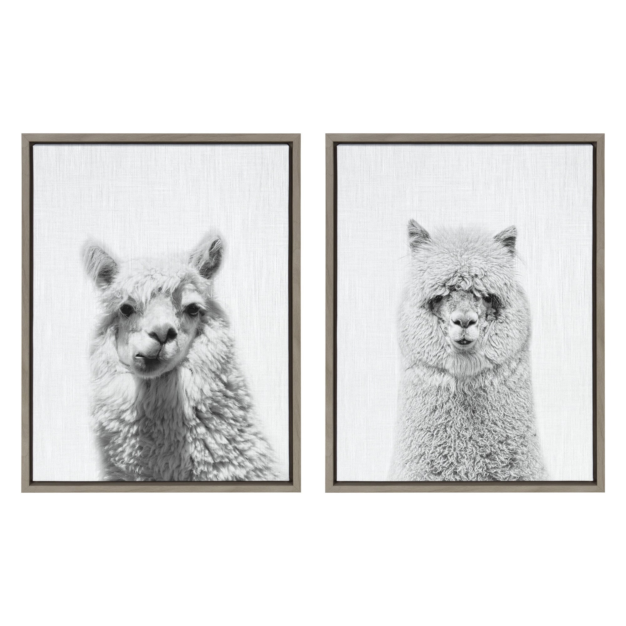 Sylvie Alpaca Portrait Set Framed Canvas By Simon Te by kateandlaurel - product image 8 for Resin Society