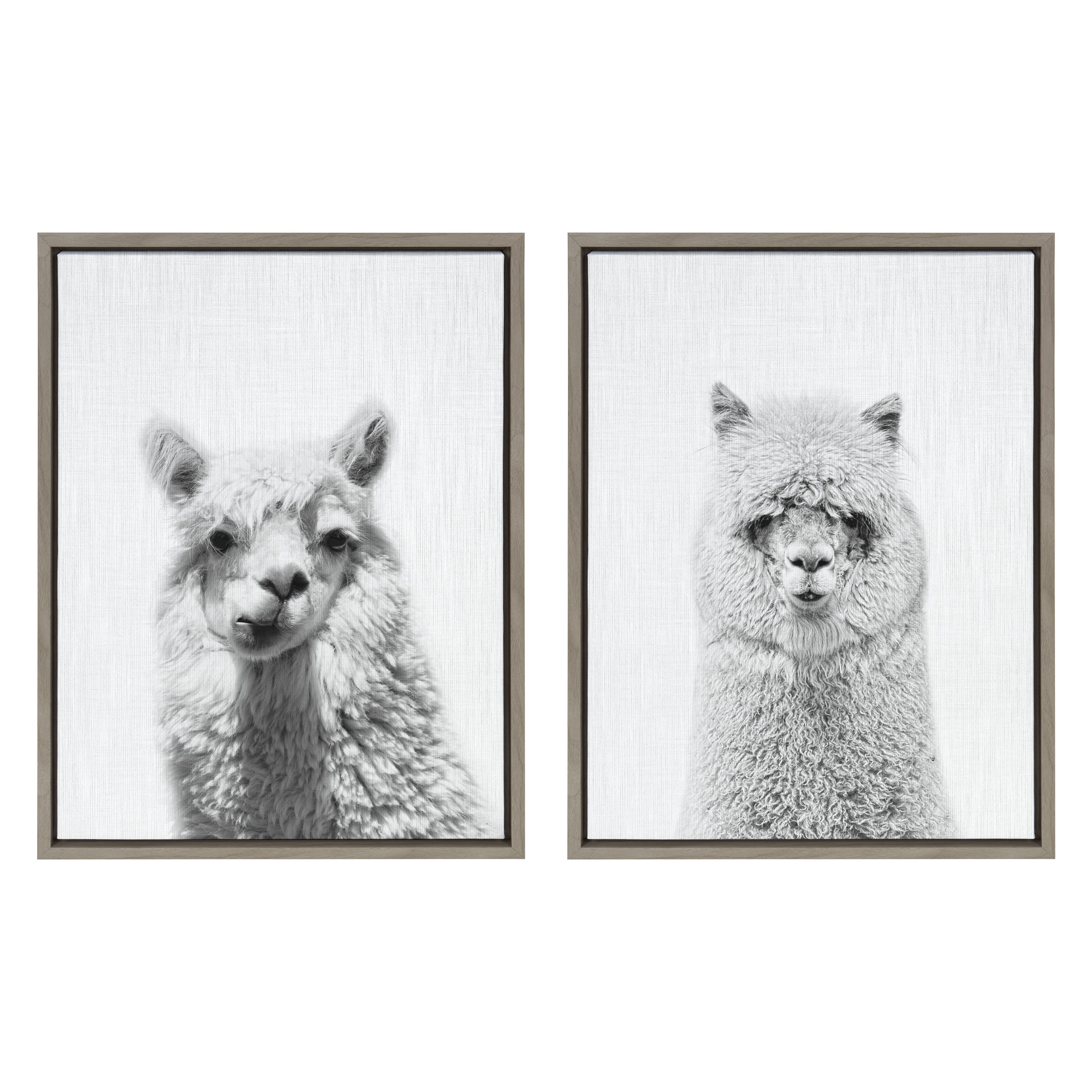 Sylvie Alpaca Portrait Set Framed Canvas By Simon Te by kateandlaurel - product image 8 for Resin Society