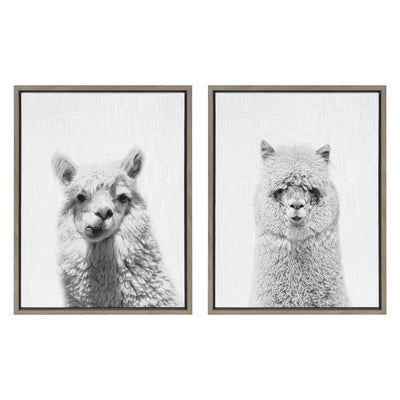 Sylvie Alpaca Portrait Set Framed Canvas By Simon Te by kateandlaurel - product image 8 for Resin Society
