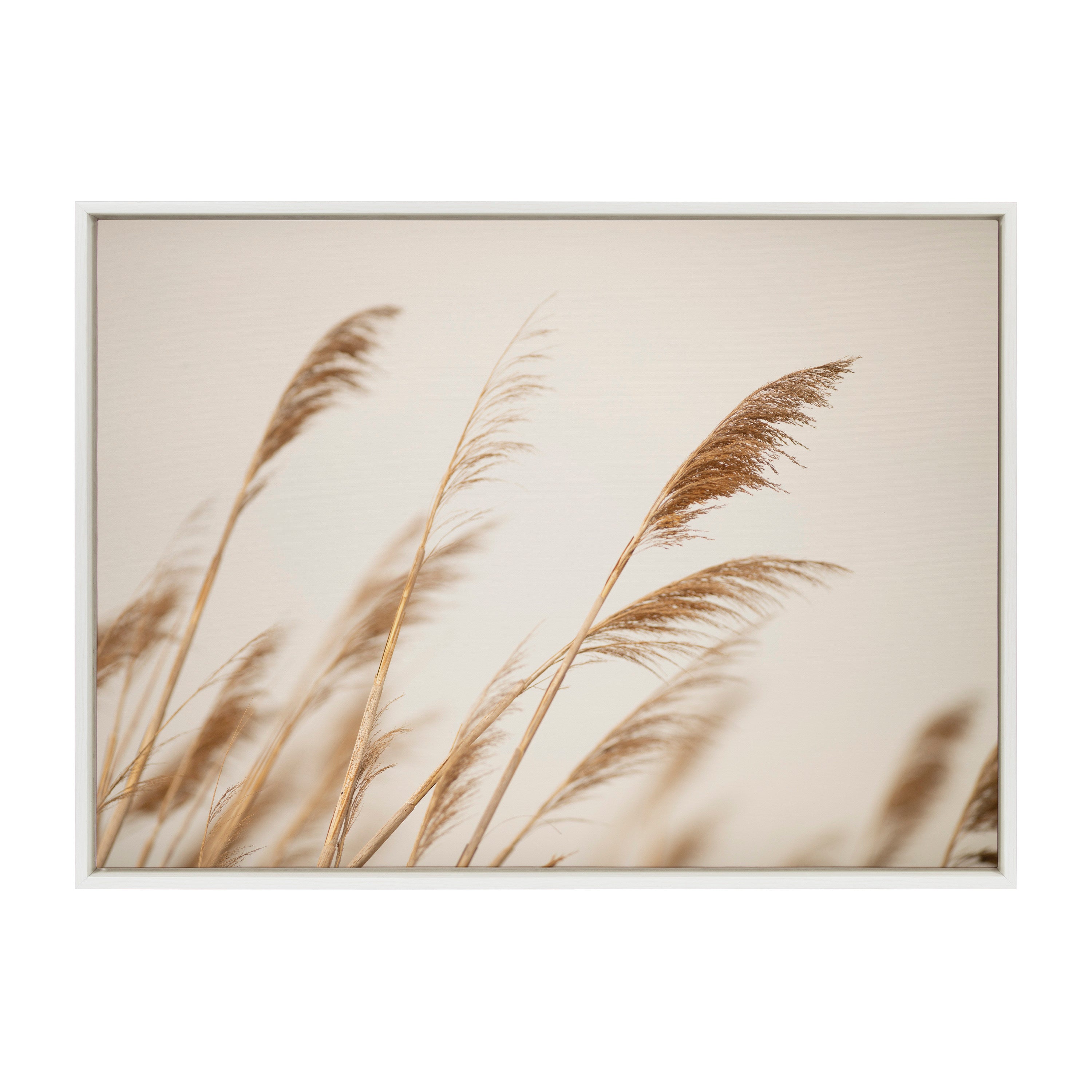 Sylvie Marsh Grass No 8 Framed Canvas by Crystal Lynn Collins