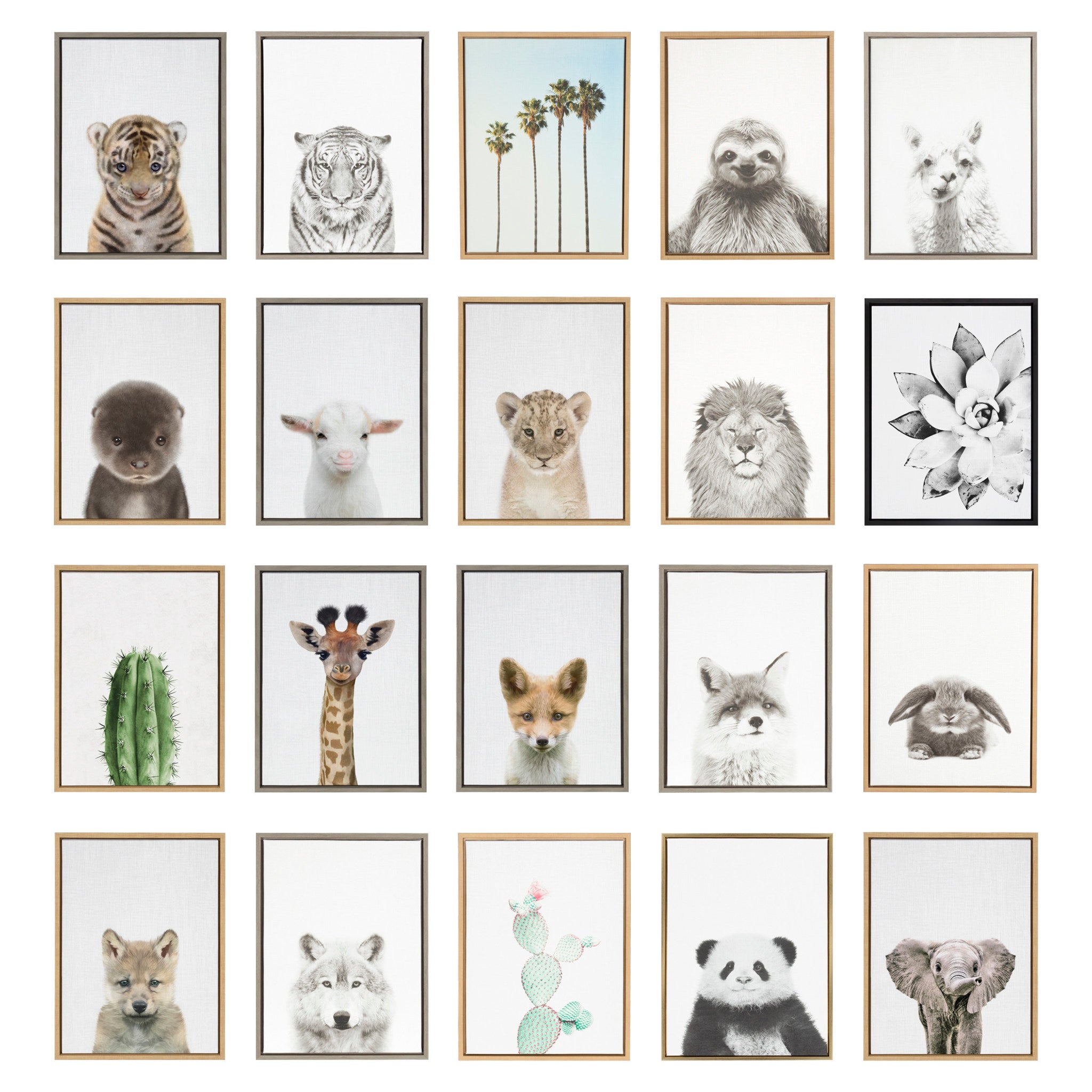 Sylvie Sea Turtle, Turtle Family and MCM Sea Turtle Framed Canvas Art Set by Various Artists