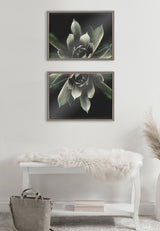 Two framed prints of a green succulent plant with a dark background, hung vertically above a white bench draped with a furry white throw in a minimalist room.