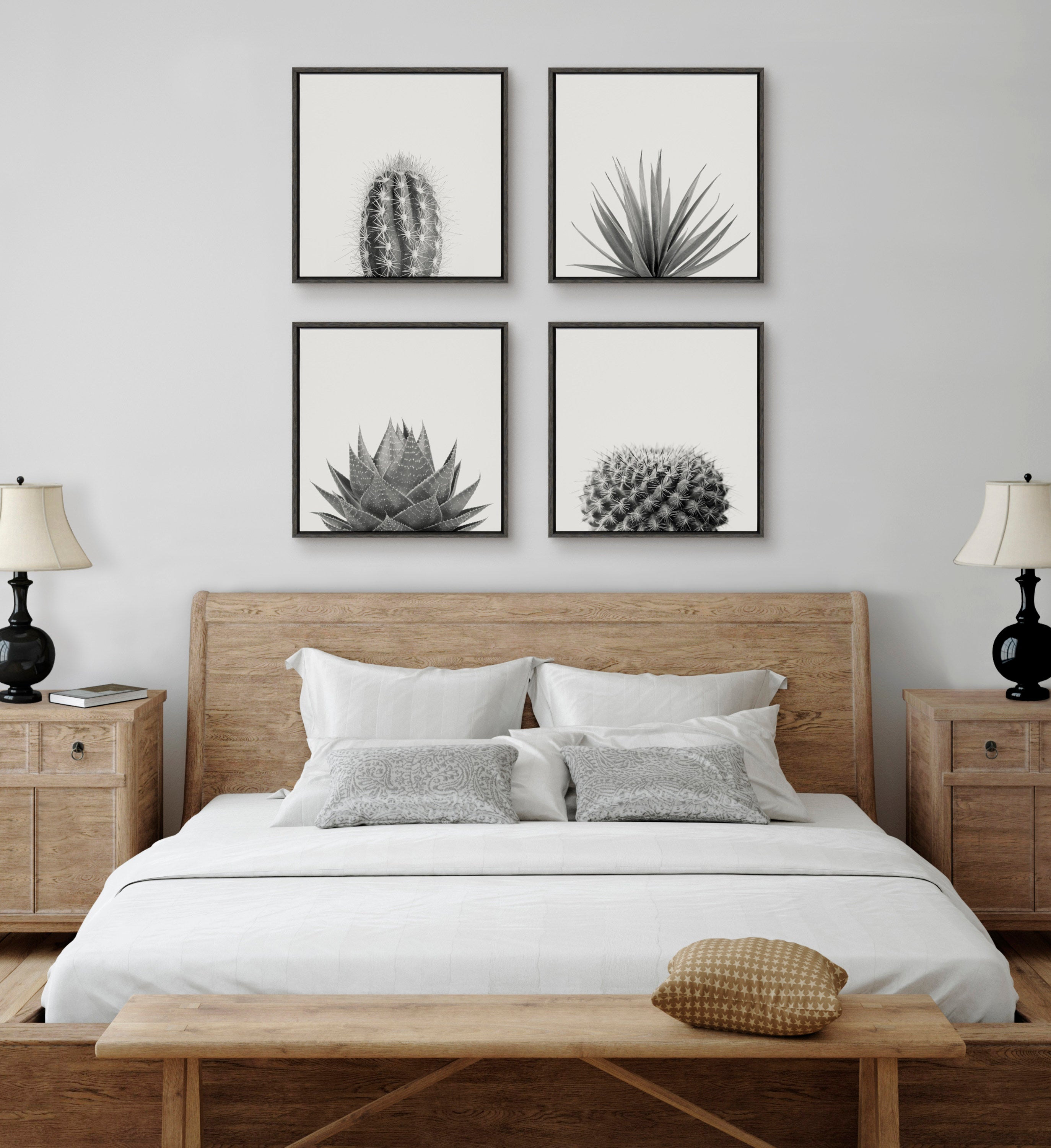 Sylvie Haze Succulent Cactus Short Framed Canvas by kateandlaurel - product image 14 for Resin Society