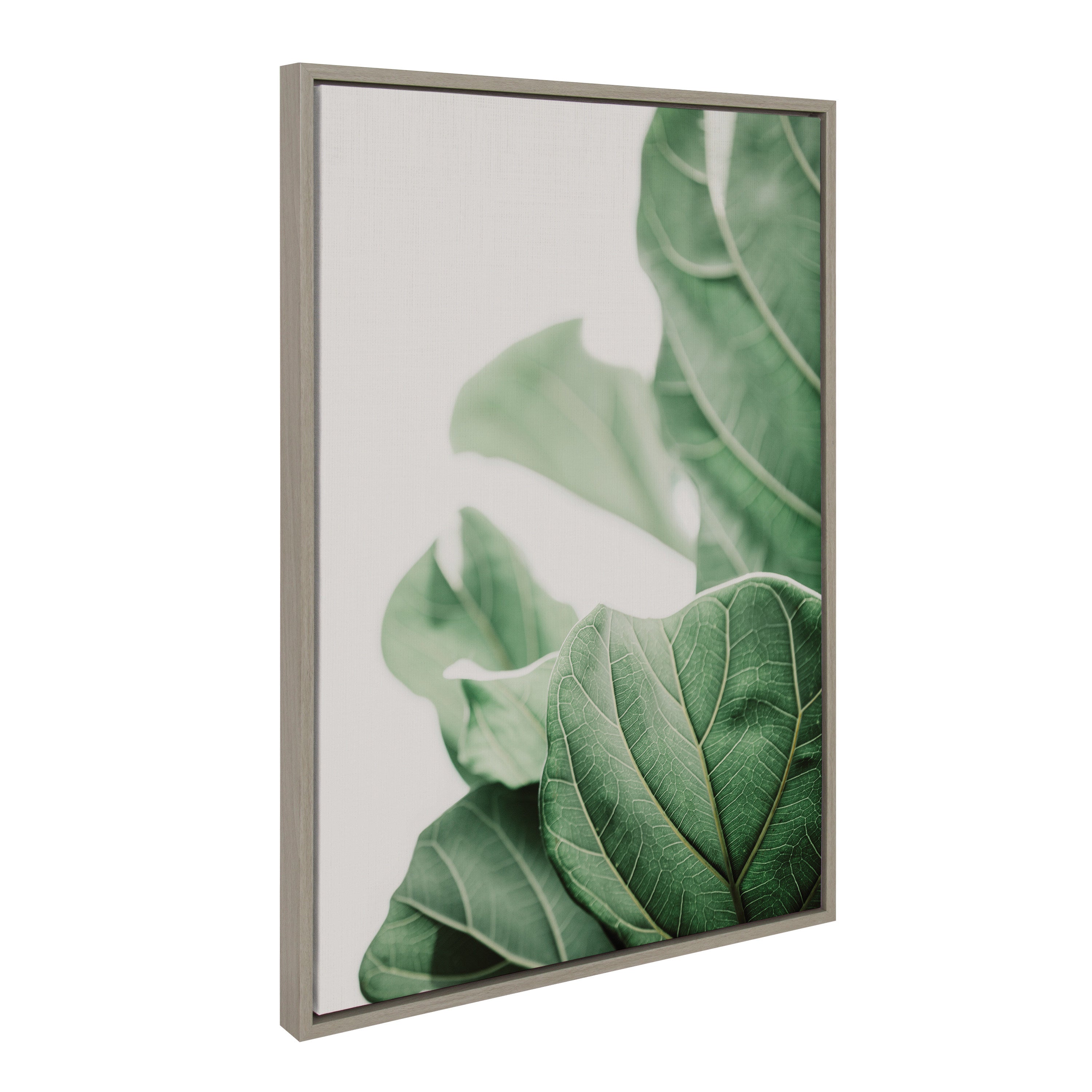 Sylvie Plant Study 7 Framed Canvas by kateandlaurel - product image 10 for Resin Society