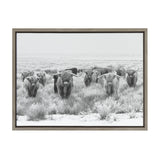 Sylvie Herd of Highland Cows Black and White Framed Canvas by The by kateandlaurel - product image 17 for Resin Society