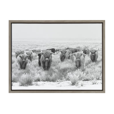 Sylvie Herd of Highland Cows Black and White Framed Canvas by The by kateandlaurel - product image 17 for Resin Society