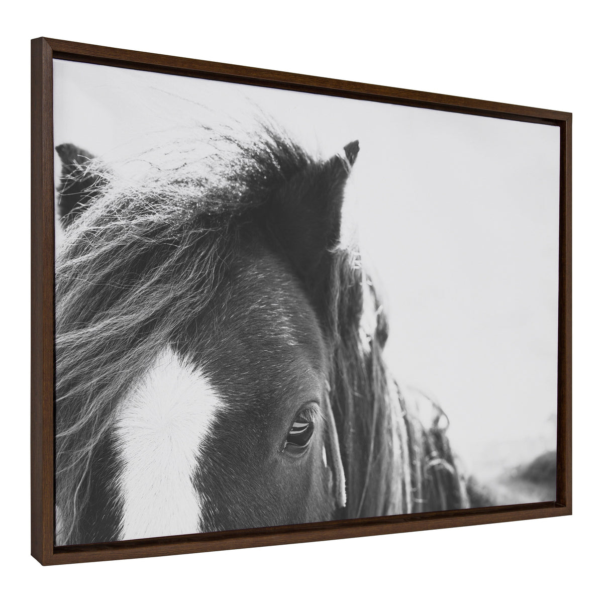 Sylvie Noble BW Framed Canvas by kateandlaurel - product image 2 for Resin Society