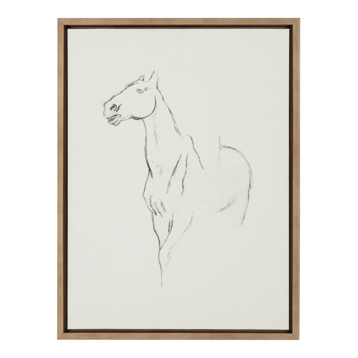 Sylvie Edgar Degas Horse Turned Three Quarters 1880 BW Framed Canvas by kateandlaurel - product image 2 for Resin Society