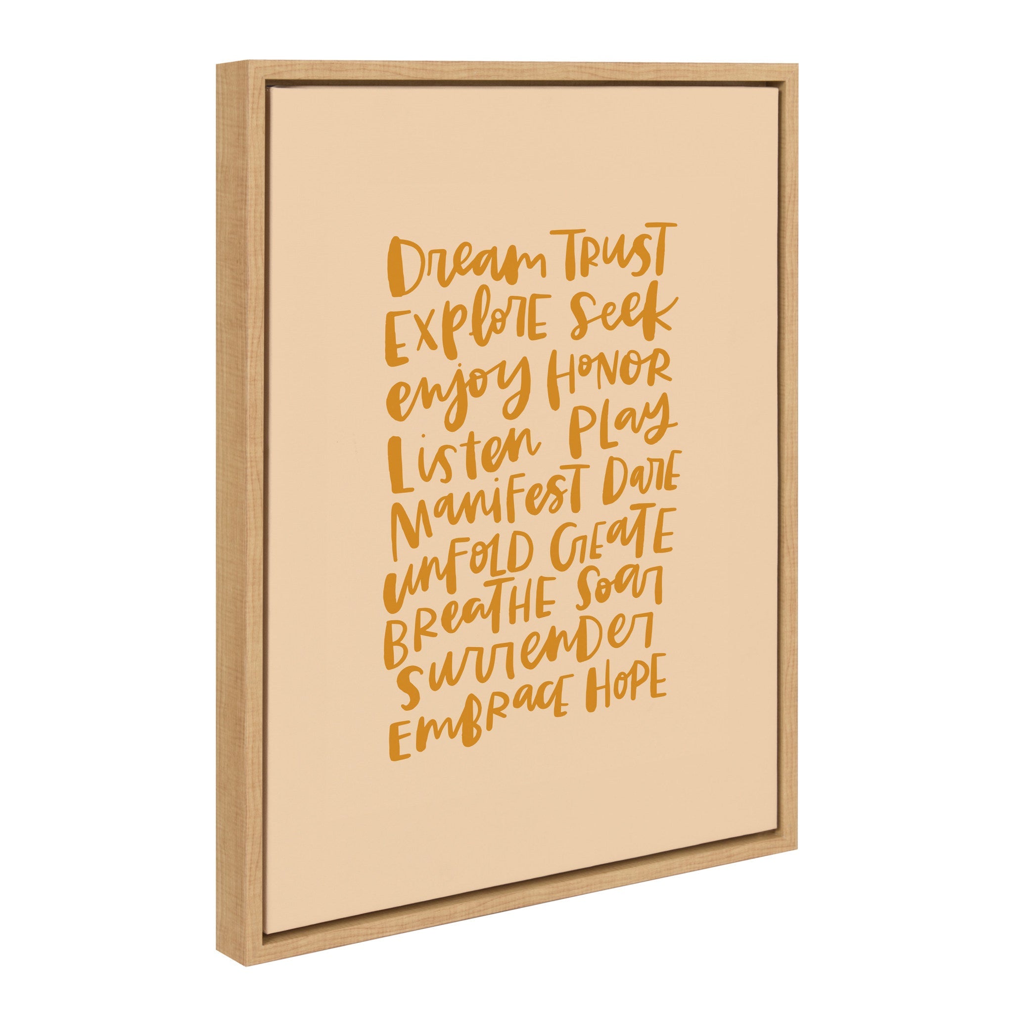 Sylvie Dream Framed Canvas by kateandlaurel - product image 2 for Resin Society