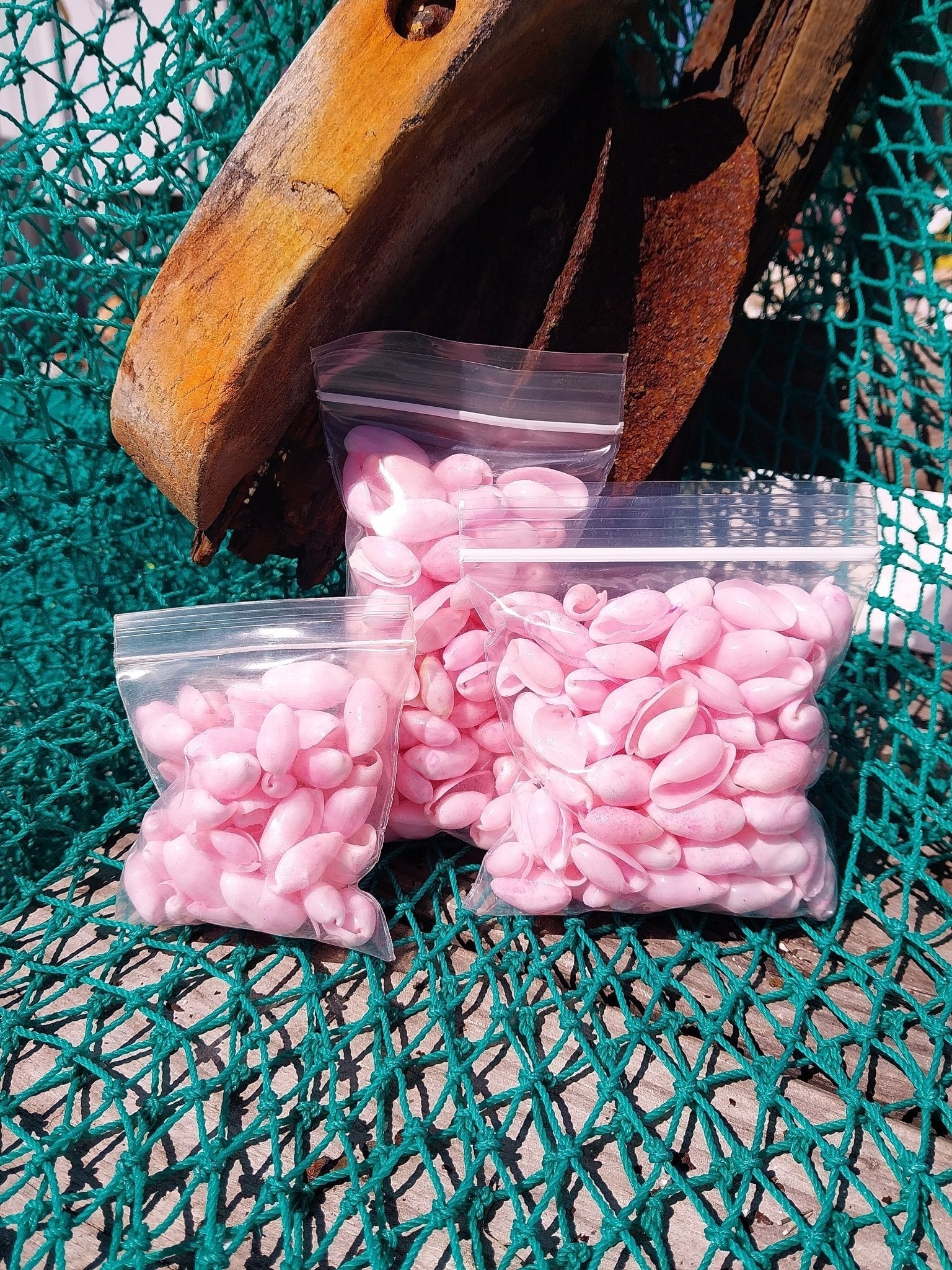 Bulk pastel dyed bubble shells in soft pink, blue, seafoam green, and yellow shades for crafting and DIY projects