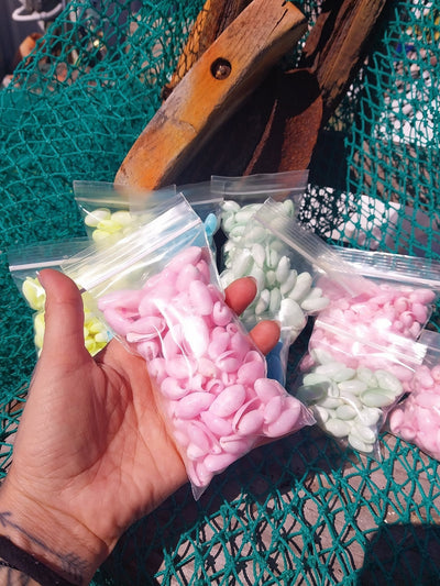 Bulk pastel dyed bubble shells in soft pink, blue, seafoam green, and yellow shades for crafting and DIY projects